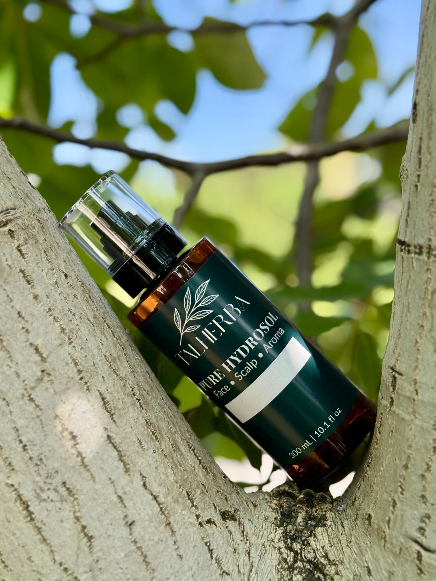 Linden Hydrosol Mist