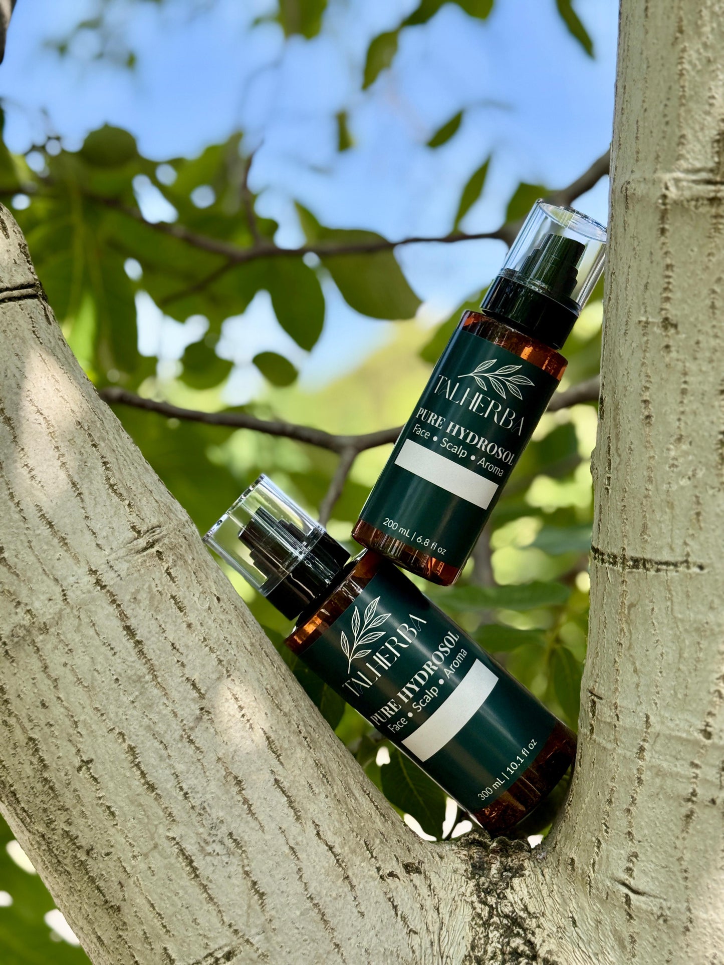 رذاذ ماء إكليل الجبل